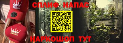 крисы Гусев